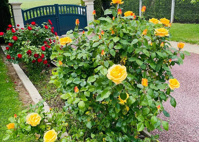 펜션 Normand Climatise Avec Piscine Privee *